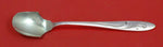 Awakening by Towle Sterling Silver Cheese Scoop 5 3/4" Custom Made