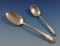 English Shell by Lunt Sterling Silver Flatware Service For 6 Set 33 Pieces