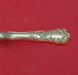 Buttercup by Gorham Sterling Silver Cheese Grater Curved Custom Made