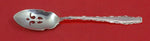 Rapallo by Lunt Sterling Silver Olive Spoon Pierced 5 3/4" Custom Made