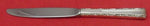 Madrigal by Lunt Sterling Silver Regular Knife modern 9"