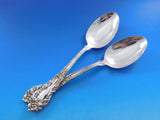 Athene by Amston Sterling Silver Flatware Set for 12 Service 75 pieces