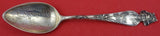 Sunny South by Shiebler Sterling Silver Souvenir Spoon "Jacksonville FLA" 5 5/8"