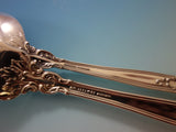 Chantilly by Gorham Sterling Silver Dinner Flatware Set 18 Service 165 Pcs Huge!