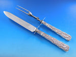Saint Cloud by Gorham Sterling Silver Roast Carving Set 2-Piece 12 1/4" Vintage