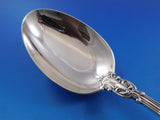 Chantilly by Gorham Sterling Silver Stuffing Spoon with Button 12 1/4" Serving