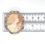 14k Yellow Gold Genuine Natural Shell Cameo Pin Filigree Applied Leaves (#J6244)