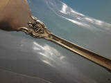 Lasting Grace by Lunt Sterling Silver Flatware Service for 12 Set 49 Pcs New