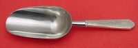 Mary II by Lunt Sterling Silver Ice Scoop HHWS  Custom Made 9"