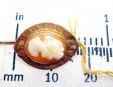 10k Gold Shell Genuine Natural Cameo Stick Pin Jewelry (#J2667)