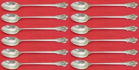 Grande Baroque by Wallace Sterling Silver Iced Tea Spoon 7 5/8" Set of 12 pieces