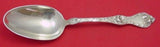Les Cinq Fleurs by Reed and Barton Sterling Silver Vegetable Serving Spoon 9"
