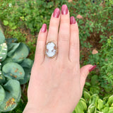 14k Yellow Gold Filigree Ring with Genuine Natural Shell Cameo Size 7.25 #J7375