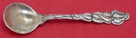 Ailanthus by Tiffany and Co Sterling Silver Sherbet Spoon Pinched 5 3/8"