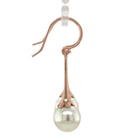 14k Rose Gold Drop Earrings with 9.9mm Cultured South Sea Pearls (#J7323)