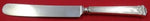 Trianon by International Sterling Silver Regular Knife Blunt 9 1/4" Flatware