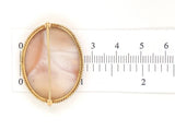 14k Yellow Gold Carved Shell Cameo Pin Brooch Chariot Pulled by Horses (#J6890)