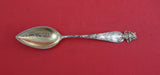 Sunny South by Shiebler Sterling Grapefruit Spoon GW "Jacksonville FL" 6 5/8"