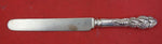 Ailanthus by Tiffany and Co Sterling Silver Regular Knife blunt 9 1/4"