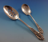 Rose Point by Wallace Sterling Silver Flatware Set For 12 Service 65 Pieces