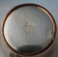 Mixed Metals Gorham Sterling Silver Vase Applied Copper Turtles Aesthetic #6246