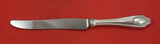 Wedgwood by Whiting Sterling Silver Dinner Knife french 9 3/4"