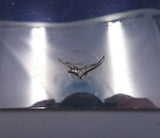 Sterling Silver Serving Tray for Sardines 7" x 7" 10.15 ozt. (#4872)