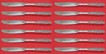 Contessina by Towle Sterling Silver Butter Spreader HH Modern Set 12 pcs 6 5/8"