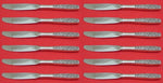 Contessina by Towle Sterling Silver Butter Spreader HH Modern Set 12 pcs 6 5/8"