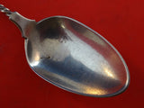 Medallion with Twist by Wood & Hughes Sterling Silver Place Soup Spoon 6 1/2"