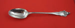 La Splendide by Reed and Barton Sterling Silver Stuffing Spoon w/ button 12 1/2"