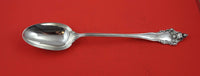 La Splendide by Reed and Barton Sterling Silver Stuffing Spoon w/ button 12 1/2"