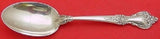 Delacourt by Lunt Sterling Silver Serving Spoon 8 1/2" Heirloom Silverware