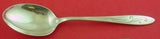 Awakening by Towle Sterling Silver Serving Spoon 8 1/2" Vintage