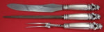 Acorn by Georg Jensen Sterling Silver Roast Carving Set 3pc HH with Stainless