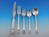 Northern Lights by International Sterling Silver Flatware Set Service 30 pieces