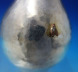 Mixed Metals Gorham Sterling Silver Vase Applied Leaf & Ladybug Aesthetic #6247