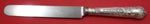 Coburg by T. Slater, W. Slater & H. Holland English Sterling Dinner Knife 9 1/2"