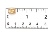 14k Yellow Gold Genuine Natural Ametrine Cushion Cut Stud Earrings (#J7291)