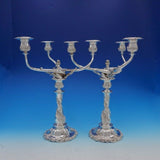 Chrysanthemum by Tiffany and Co Sterling Silver Candelabra Pair 3-Light (#3404)