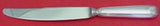 Arcantia Formerly Vendome by Christofle Sterling Silver Dinner Knife 9 3/4"
