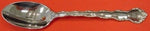 Tara by Reed and Barton Sterling Silver Teaspoon 6" Flatware Heirloom Silverware