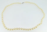 Akoya 6.5mm Saltwater Pearl Strand Necklace with 14k White Gold Clasp (#J4181)