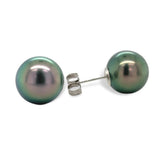 Fine Platinum Stud Earrings with 10.5mm Tahitian Pearls Jewelry (#J7119)