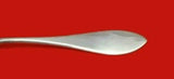 Buckingham Narrow by Shreve Sterling Silver Salt Spoon Master Custom 3 1/2"