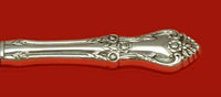 Afterglow by Oneida Sterling Silver Ham Slice Hollow Handle WS 11 1/2" Custom