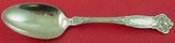 Carnation by Wallace Sterling Silver Serving Spoon 8 1/4"