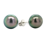 Fine Platinum Stud Earrings with 10.5mm Tahitian Pearls Jewelry (#J7119)