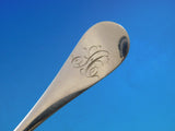 Brite-Cut by Unknown Sterling Silver Preserve Spoon w/ Ferns and Flowers 6 1/2"
