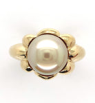 18k Yellow Gold 9.8mm Light Golden South Seas Pearl Ring Size 8.25 (#J6338)